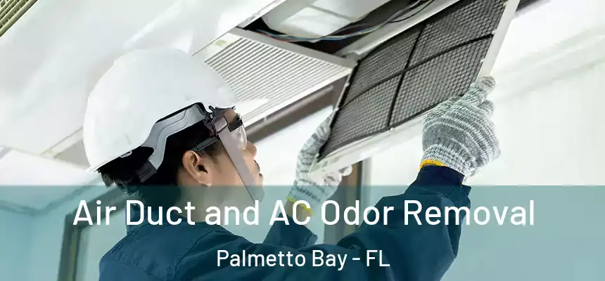 Air Duct and AC Odor Removal Palmetto Bay - FL