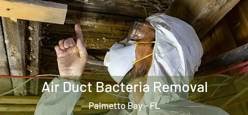 Air Duct Bacteria Removal Palmetto Bay - FL