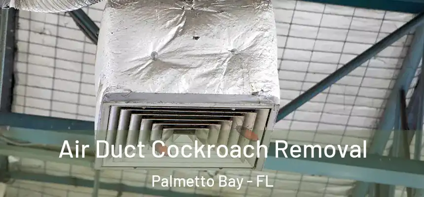 Air Duct Cockroach Removal Palmetto Bay - FL