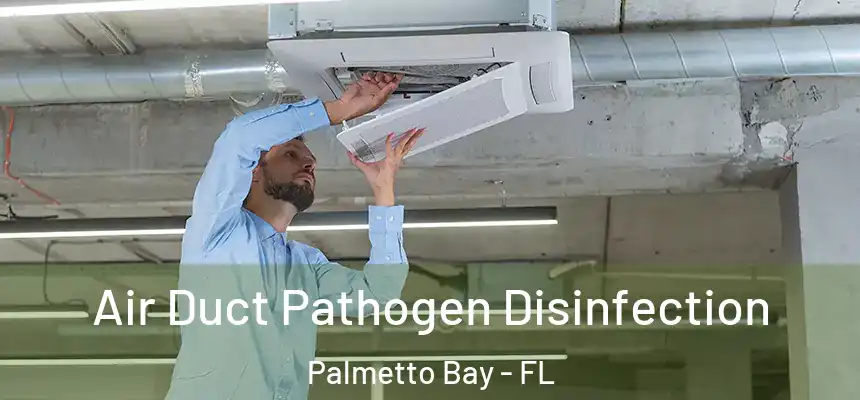 Air Duct Pathogen Disinfection Palmetto Bay - FL