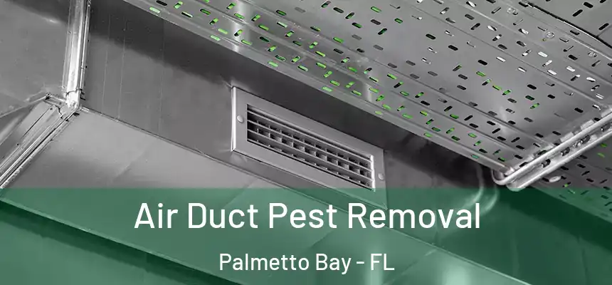 Air Duct Pest Removal Palmetto Bay - FL