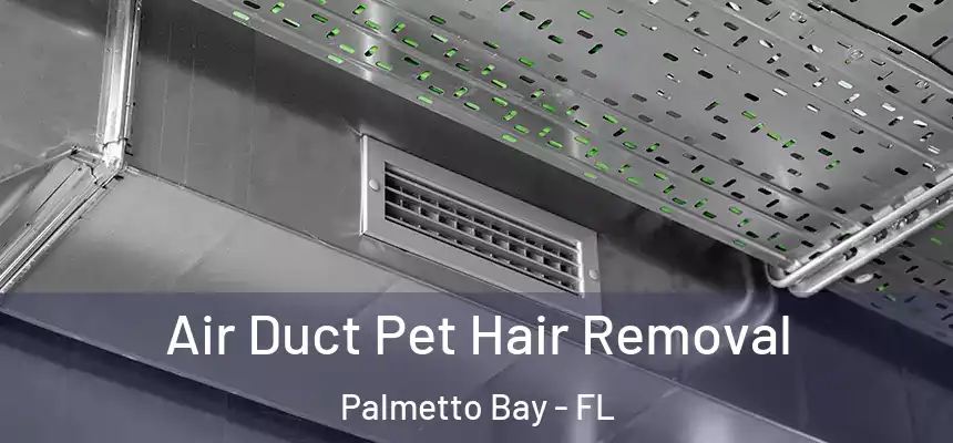 Air Duct Pet Hair Removal Palmetto Bay - FL