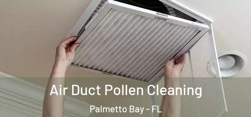 Air Duct Pollen Cleaning Palmetto Bay - FL
