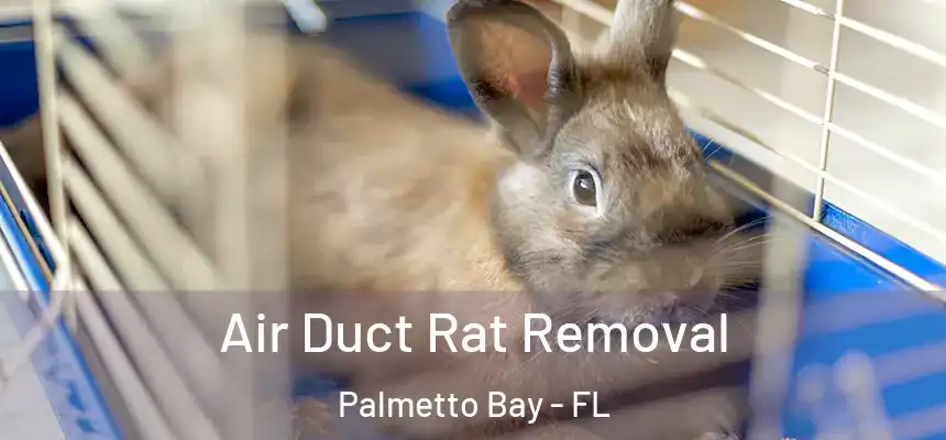 Air Duct Rat Removal Palmetto Bay - FL