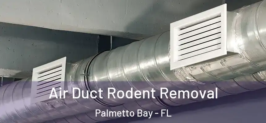 Air Duct Rodent Removal Palmetto Bay - FL