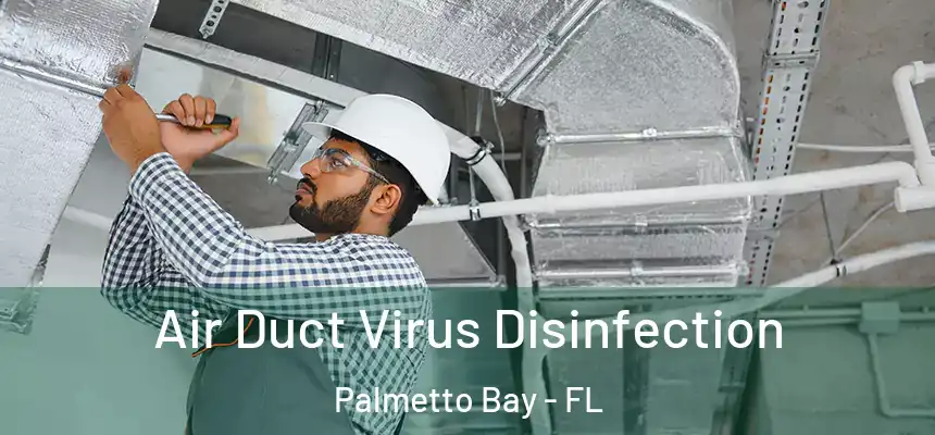 Air Duct Virus Disinfection Palmetto Bay - FL