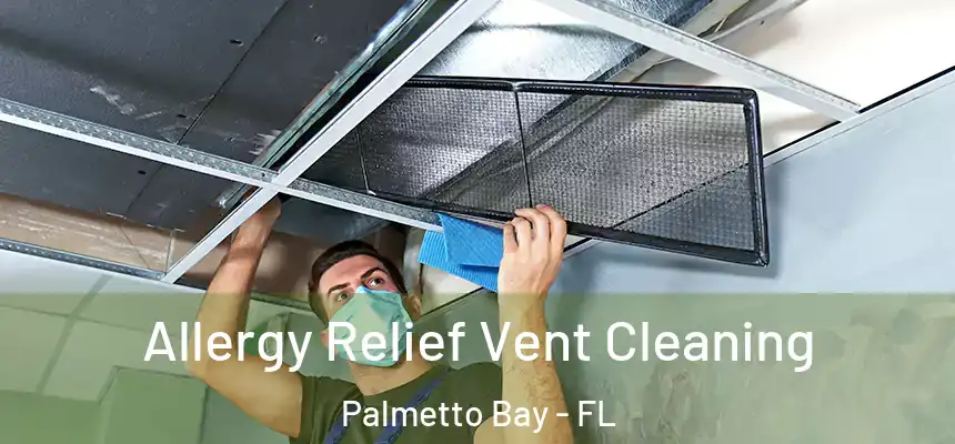 Allergy Relief Vent Cleaning Palmetto Bay - FL