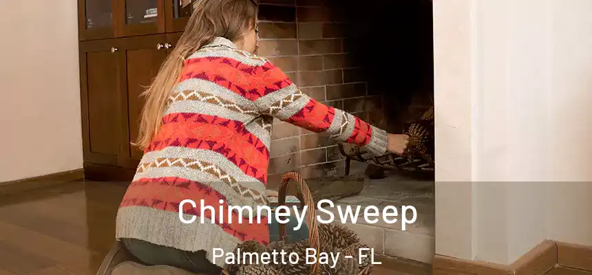 Chimney Sweep Palmetto Bay - FL
