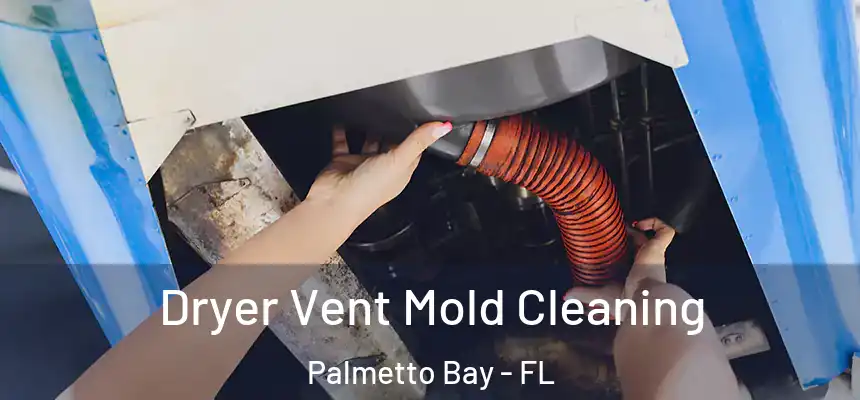 Dryer Vent Mold Cleaning Palmetto Bay - FL