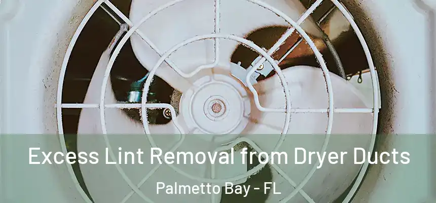 Excess Lint Removal from Dryer Ducts Palmetto Bay - FL