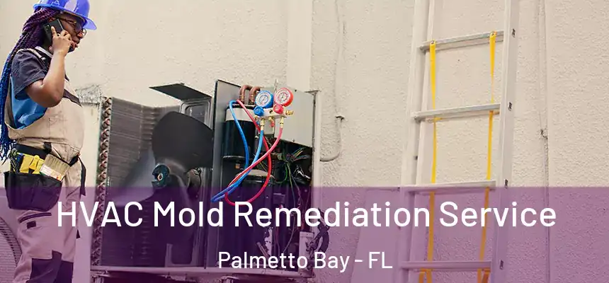 HVAC Mold Remediation Service Palmetto Bay - FL