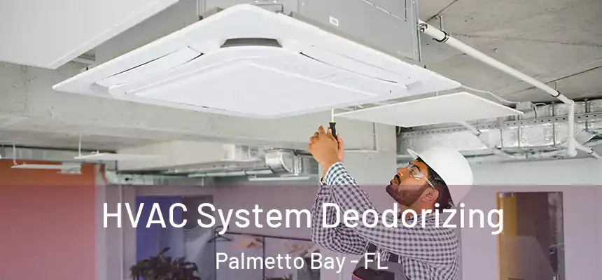 HVAC System Deodorizing Palmetto Bay - FL