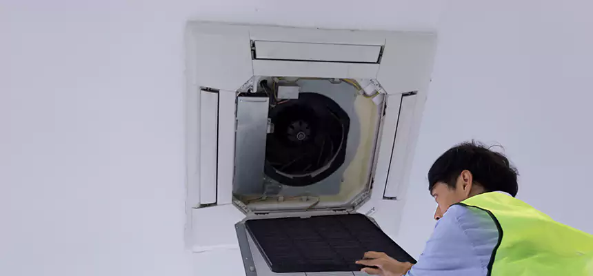 Our Dryer Vent Sanitization Service Services in Palmetto Bay, FL