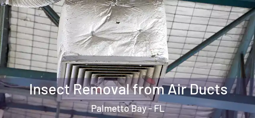 Insect Removal from Air Ducts Palmetto Bay - FL