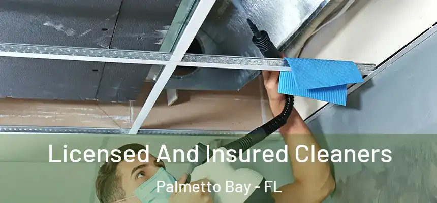 Licensed And Insured Cleaners Palmetto Bay - FL