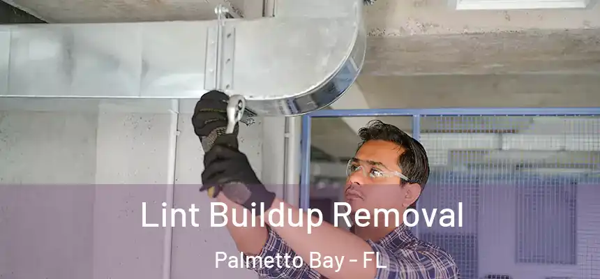 Lint Buildup Removal Palmetto Bay - FL