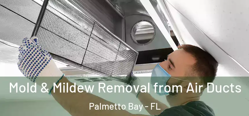 Mold & Mildew Removal from Air Ducts Palmetto Bay - FL