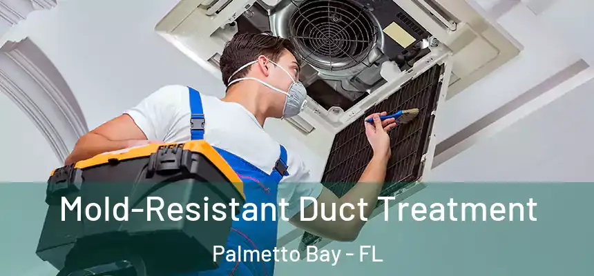 Mold-Resistant Duct Treatment Palmetto Bay - FL