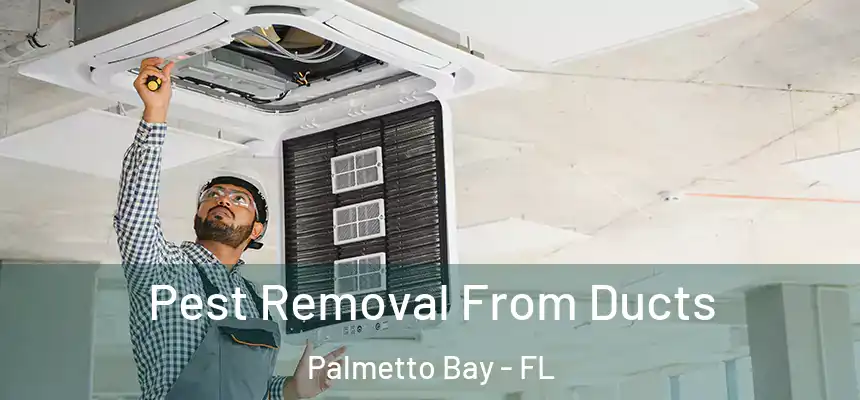 Pest Removal From Ducts Palmetto Bay - FL
