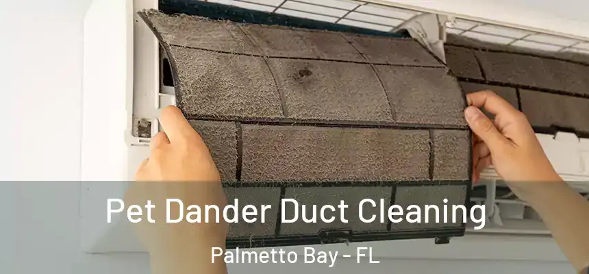 Pet Dander Duct Cleaning Palmetto Bay - FL