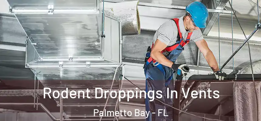 Rodent Droppings In Vents Palmetto Bay - FL