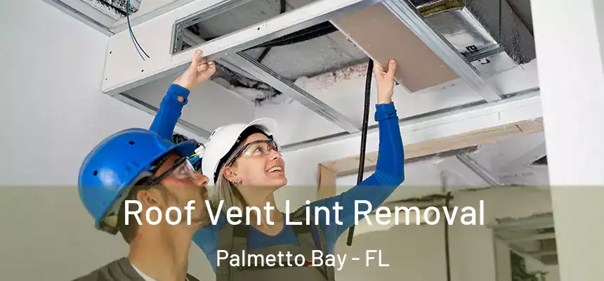 Roof Vent Lint Removal Palmetto Bay - FL