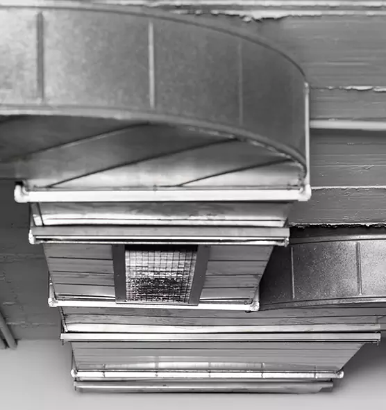 Professional Air Duct Pet Hair Removal in Palmetto Bay, FL