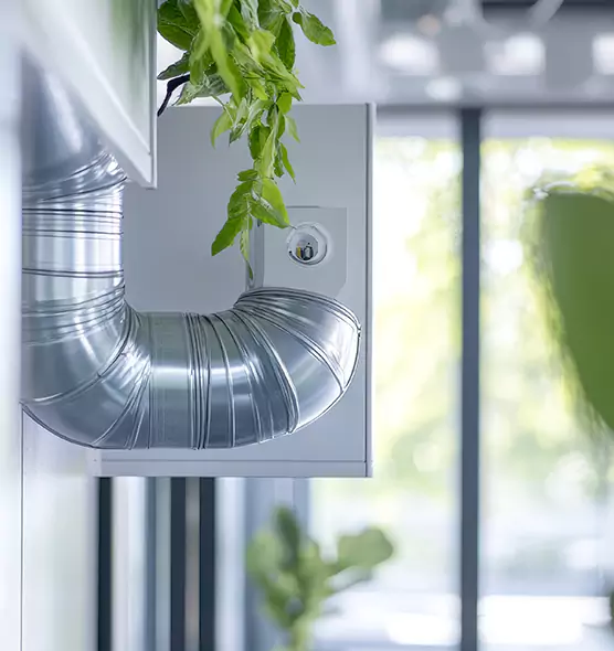 Professional Eco-Safe Dryer Vent Cleaning in Palmetto Bay, FL