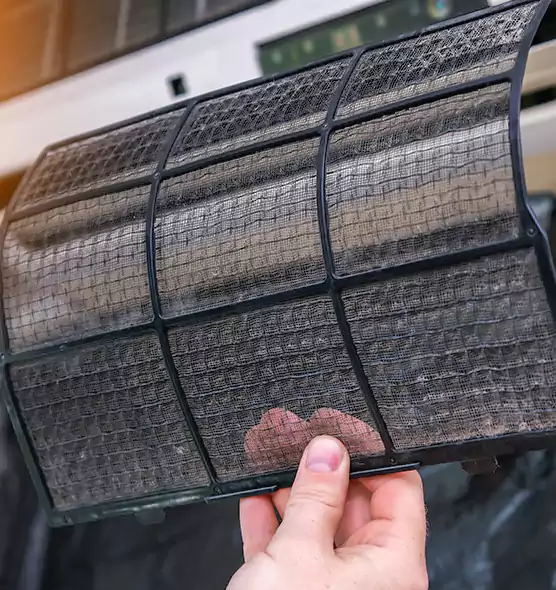 About Pet Dander Duct Cleaning in Palmetto Bay, FL